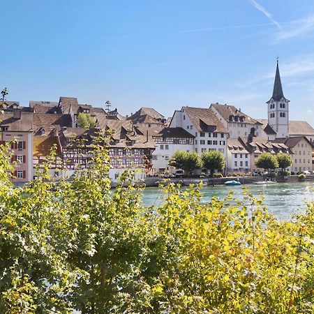 Апартаменти Am Hochrhein Desko Ґайлінґен Екстер'єр фото